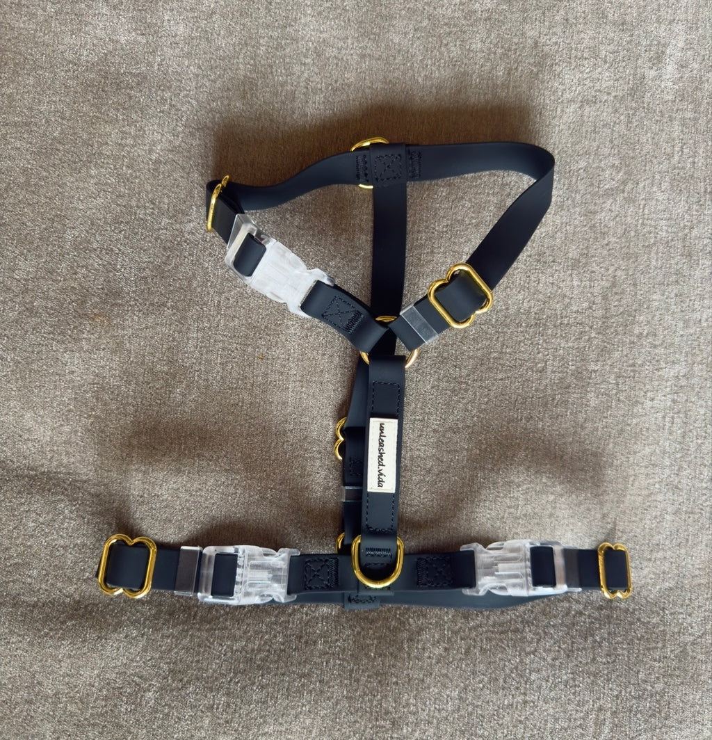 Obsidian Noir 🖤 |  Harness
