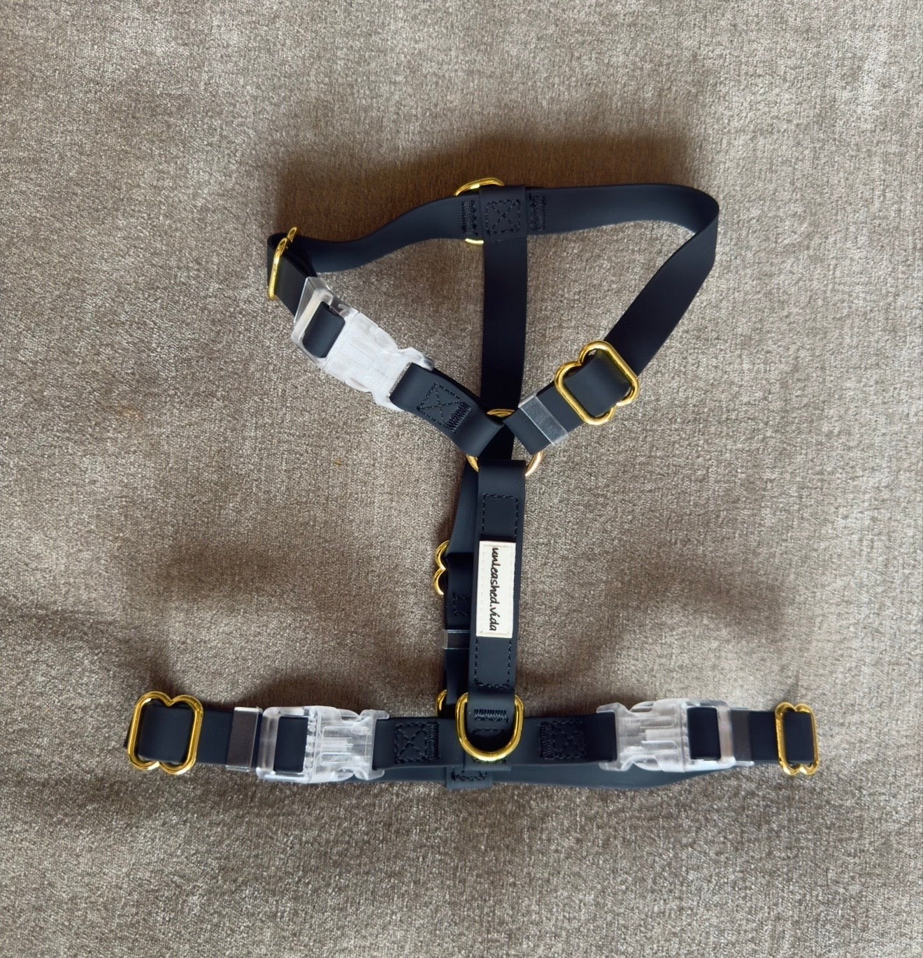 Obsidian Noir 🖤 |  Harness
