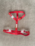 Chili Heat 🌶️ | Harness