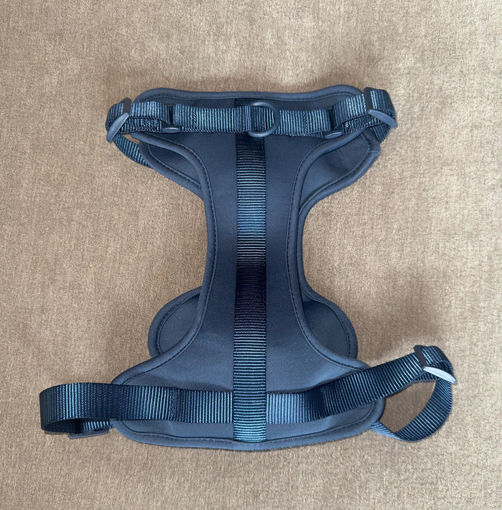 Midnight Tide 🌊 | Harness