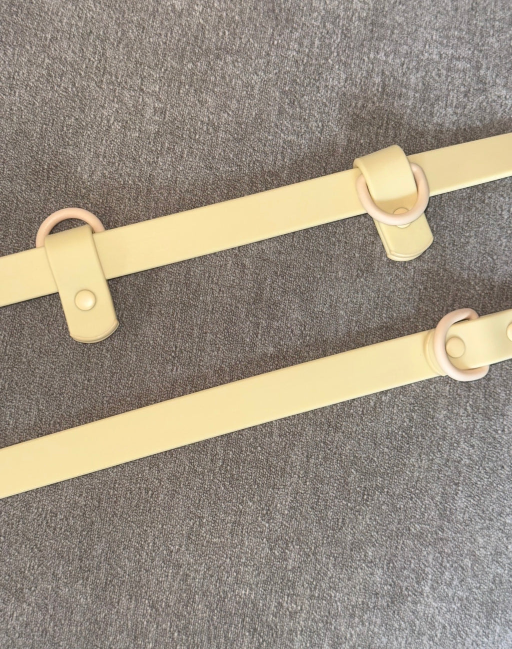 Butter Cream 🧈 | Freedom Walk Leash